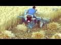 BCS 3 Wheel Reaper Binder Wheat Harvesting Solution