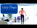 Beginners Walking and Tone Workout Lazy Girl Workout - Barlates Body Blitz Lazy Days Walk Sculpt