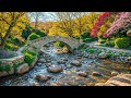 Relaxing Music For Stress Relief, Anxiety and Depressive States • Heal Mind, Body and Soul #14