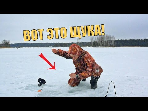 рыбалка на вд 40 на хищника рыбалка на вд 40 на хищника