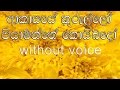 Akasaye Kurullo Karaoke (without voice) ආකාසයේ කුරුල්ලෝ