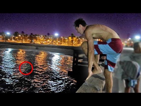 DON T JUMP OFF A PIER AT 3AM 