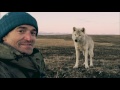 Living Among Wolves | Snow Wolf Family And Me | BBC