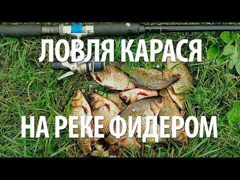 рыболовный интернет магазин в чувашии рыболовный интернет магазин в чувашии