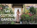 My Doorstep Container Cutting Garden as seen recently on Gardeners World, UK