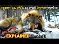 Alpha (2018) Explained in Telugu | BTR Creations