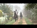 horse riding for 52 km by long riders of punjab with marwari horses