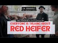 Red Heifer? We went to check if the ceremony in soon| Featuring @TheIsraelGuys