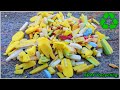 Soap Recycling Process | How to Recycle Leftover Soap Pieces | soap Making | Used Soaps Get Recycled