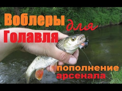 какие воблеры выбрать для ловли голавля какие воблеры выбрать для ловли голавля