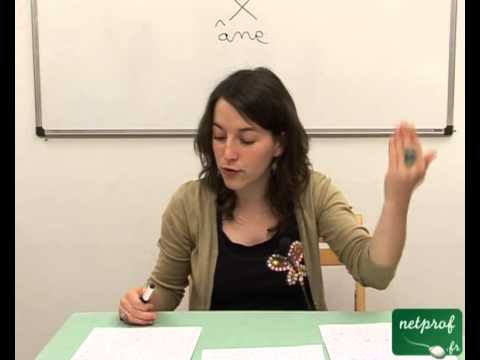 Dissertation Philosophie Terminale S Libert