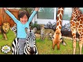 Learn Animals with Ryan for Kids | Educational Pretend Play!