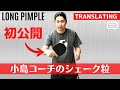 STRONGEST! Shakehand Long Pimple in Japan [Table Tennis]