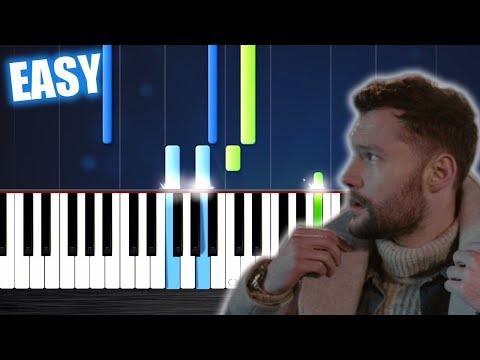 Download Calum Scott - You Are The Reason - EASY Piano Tutorial by PlutaX free