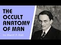 The Human Body in Symbolism | The Occult Anatomy of Man: Part 1