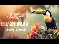 Surah Mulk | Epi 121 | Surah Mulk Relaxing Heart Touching| Recitation Surat Al Mulk
