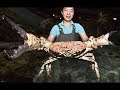 Download 10 BIGGEST CATCHES OF ALL TIME mp4 3gp mp3 videos - waplic