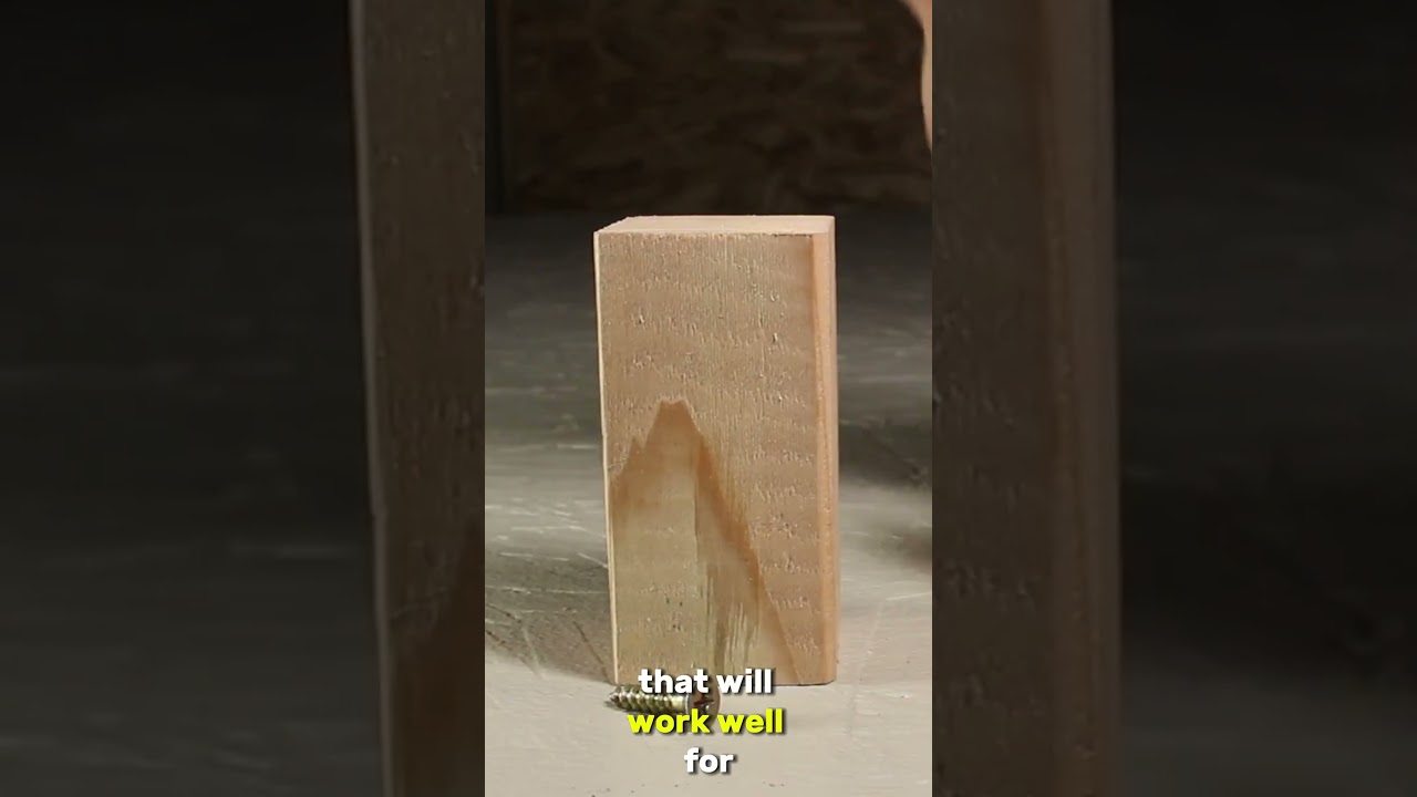 EASY MOUSE TRAP GUN TUTORIAL