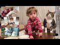 The amazing love between a baby and cats. Can cats fall in love with a baby?