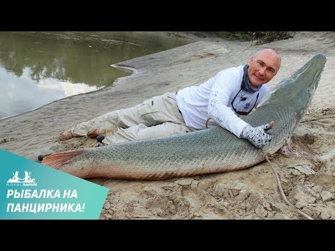 видео ловля самой большой щуки видео ловля самой большой щуки