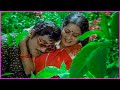 Sobhan Babu, Radhika Evergreen Superhit Song | Abhimanyudu Movie Video Songs | Telugu Songs
