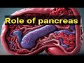 what is the role of pancreas.what is the secretion of pancreas.