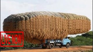 World Amazing Bizarre Modern Agriculture Equipment Mega Machines: Hay Bale Handling Thresher T #SON
