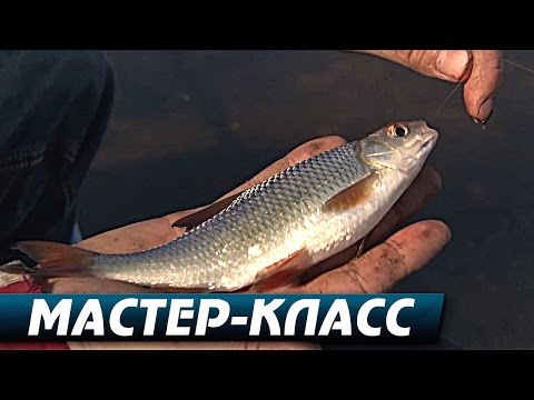 Пикер мастер класс видео