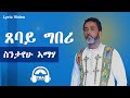 TBA MUSIC - ፀባይ ግበሪ | Sintayehu Ameha _ Tsebaygiberi - Tigrigna Music (Lyric Video)