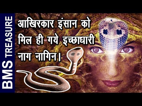 Download इच्छाधारी नागिन का असली रहस्य । || the secret behind ichadhari naag nagin || saap|| BMS TREASURE| free