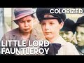 Little Lord Fauntleroy | COLORIZED | Freddie Bartholomew | Classic Family Film