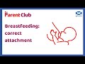 Breastfeeding: correct attachment