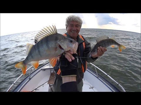 крупный окунь на джиг видео крупный окунь на джиг видео