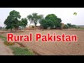 Village Life In Pakistan Daily Routine Work in 2020