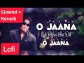O Jaana | Slowed+Reverb (Lofi Mix) |Udit Narayan, Kamaal Khan, K.K., Alka Yagnik |  Tere Naam