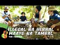 The Farmer - Illegal Na Herbal Maayo Na Tambal (Live Session)