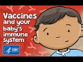 How do vaccines help babies fight infections? | How Vaccines Work