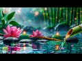 Relaxing Music Relieves stress, Anxiety and Depression, Heals the Mind, body and Soul, Nature Sounds
