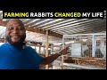 Zimbabwean Farmer Built a Successful Rabbit Business In Harare
