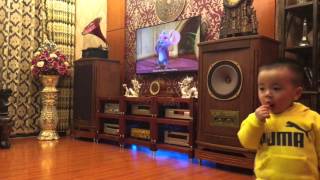 Tannoy Canterbury & Leben CS600