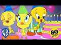Looney Tunes | Happy Birthday Tweety!💛🎂 | @WB Kids