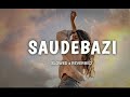 Saudebazi ( Slowed + Reverb ) Version Song