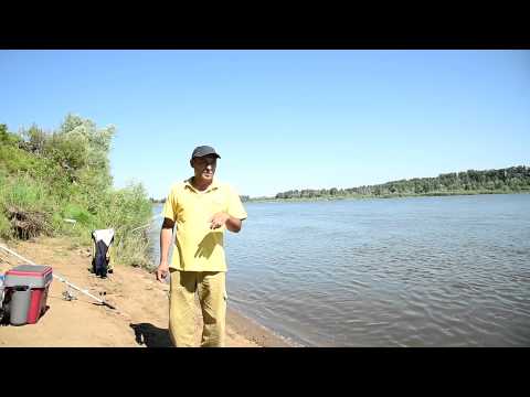 рыбалка в июне на белой рыбалка в июне на белой