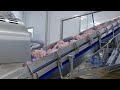 Processing Solution for major UK Sausage Producer | MULTIVAC UK