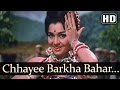 Chhaayi Barkha Bahaar - Asha Parekh - Sunil Dutt - Chirag - Old Hindi Songs - Madan Mohan