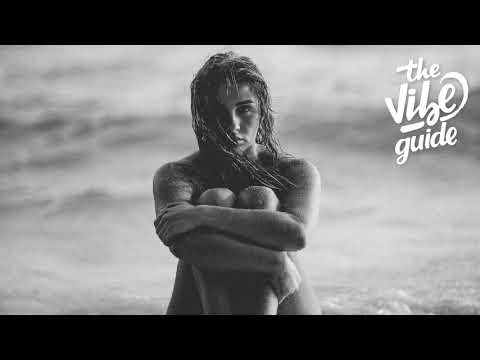 Download Dennis Lloyd - Nevermind (Wankelmut Remix) free
