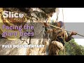 Facing the giant bees | SLICE I Full documentary