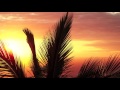 Sunlounger || Another Day On The Terrace Full Album || Downtempo Version