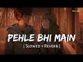 Pehle Bhi Main (Slowed + Reverb) | Vishal Mishra | Animal | SR Lofi