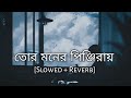 Tor Moner Pinjiray | Jisan Khan Shuvo | Slowed And Reverb | Bengali Lofi | 10 PM BENGALI LOFI